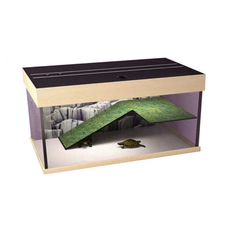 Skyline small pet terrarium hot sale kerry